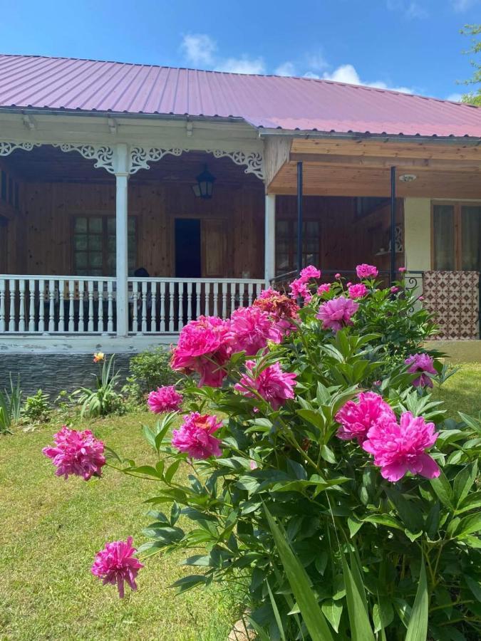 Guest House Lailashi Surmushi Экстерьер фото