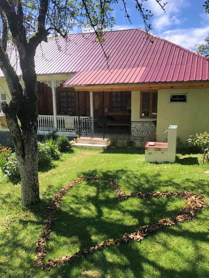 Guest House Lailashi Surmushi Экстерьер фото