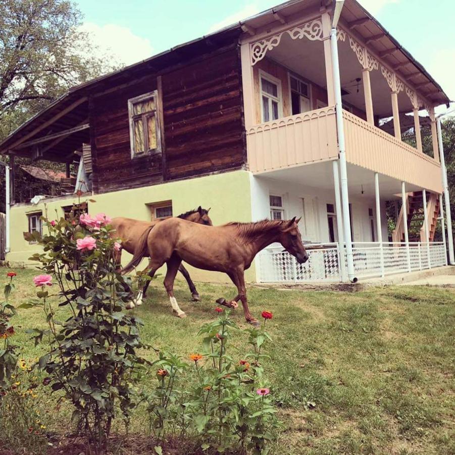 Guest House Lailashi Surmushi Экстерьер фото