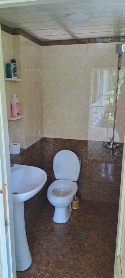 Guest House Lailashi Surmushi Экстерьер фото